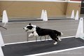 IMG_5703