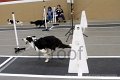 IMG_5705