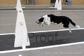 IMG_5718