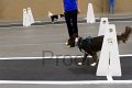 IMG_5722