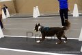 IMG_5723