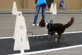 IMG_5731