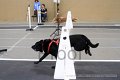 IMG_5770