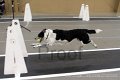 IMG_5774