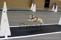 IMG_5787