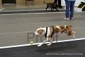 IMG_5844