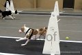 IMG_5846