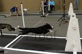 IMG_5892
