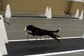 IMG_5902