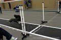 IMG_5905