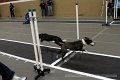IMG_5909