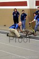 IMG_5916