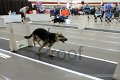 IMG_5943
