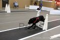 IMG_5956