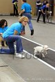 IMG_5970