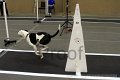 IMG_5976