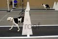 IMG_5990
