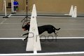 IMG_5997