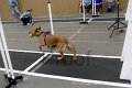 IMG_6037