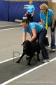 IMG_6070