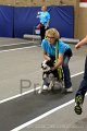 IMG_6073