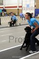 IMG_6088