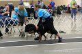 IMG_6095