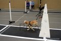 IMG_6118