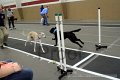 IMG_6124