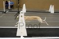 IMG_6126