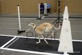 IMG_6127