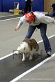 IMG_6129