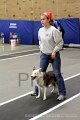 IMG_6137