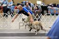 IMG_6146