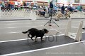 IMG_6155