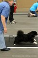 IMG_6184