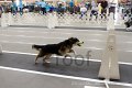 IMG_6193