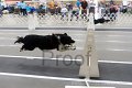 IMG_6197
