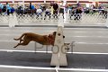 IMG_6204