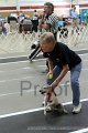 IMG_6214