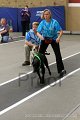 IMG_6253