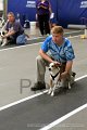 IMG_6259