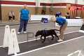 IMG_6265