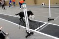 IMG_6276