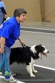 IMG_6327