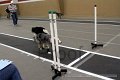 IMG_6382