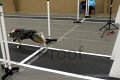IMG_6386