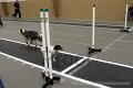 IMG_6387