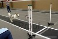 IMG_6393