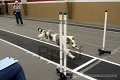 IMG_6394